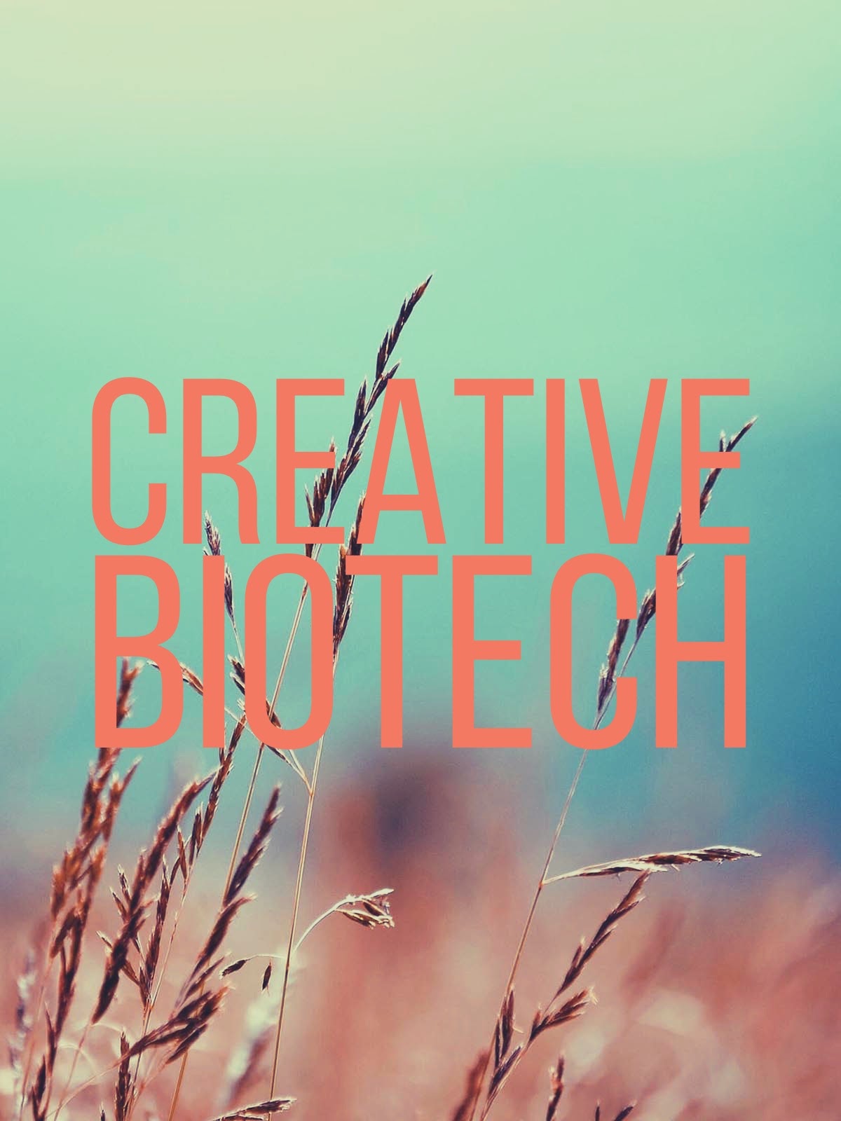 Tom Chapman Associates